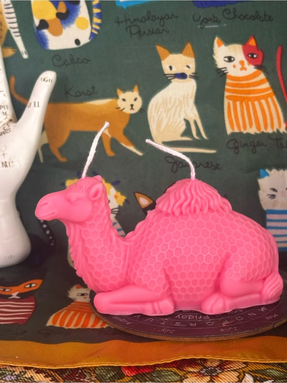 Cosmic camel candle